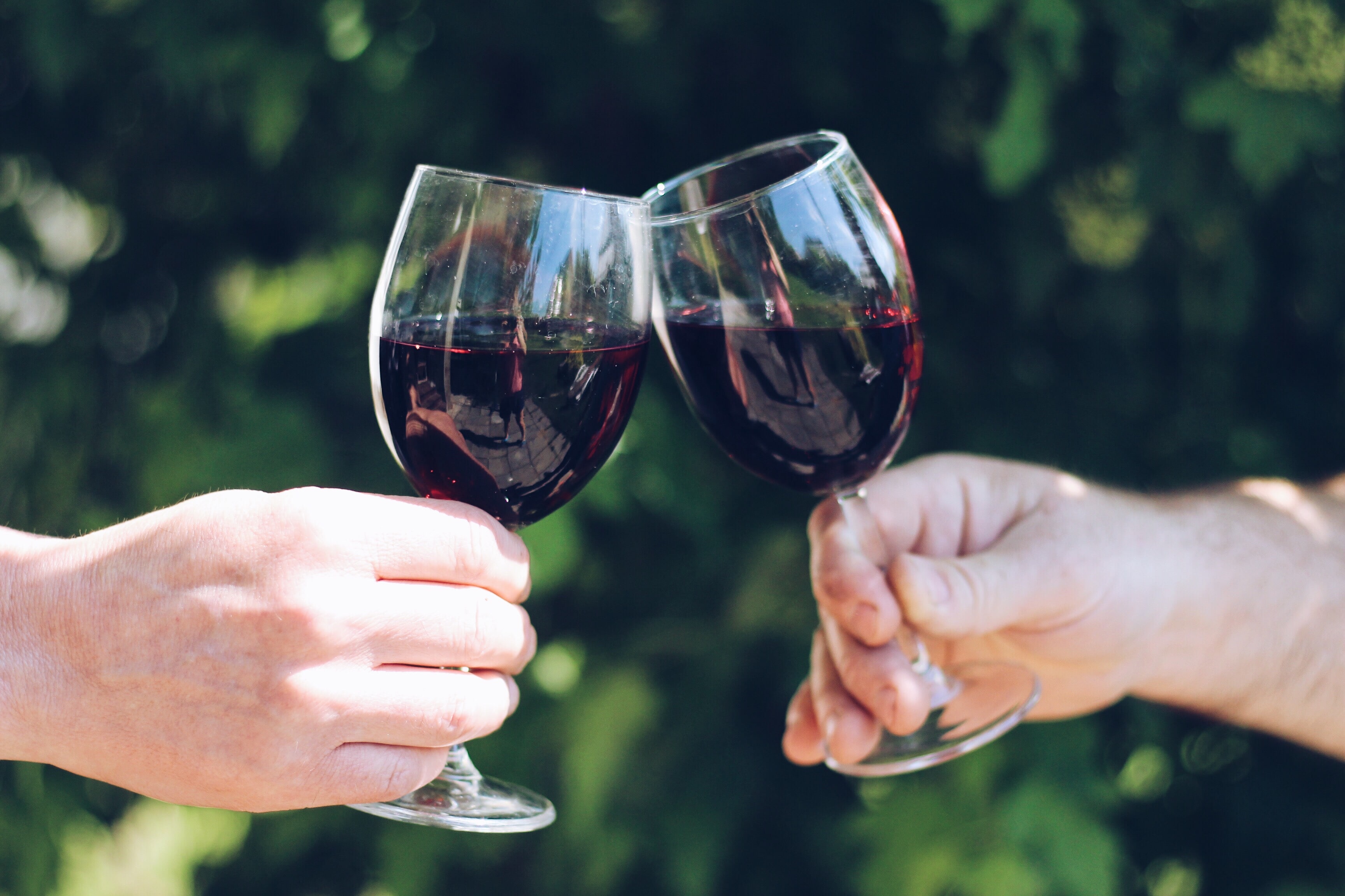 Two glasses of red wine held up for a toast.